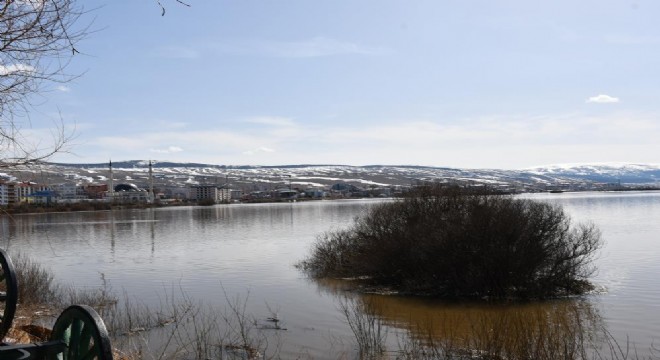 Ardahan Ovası sular altında kaldı